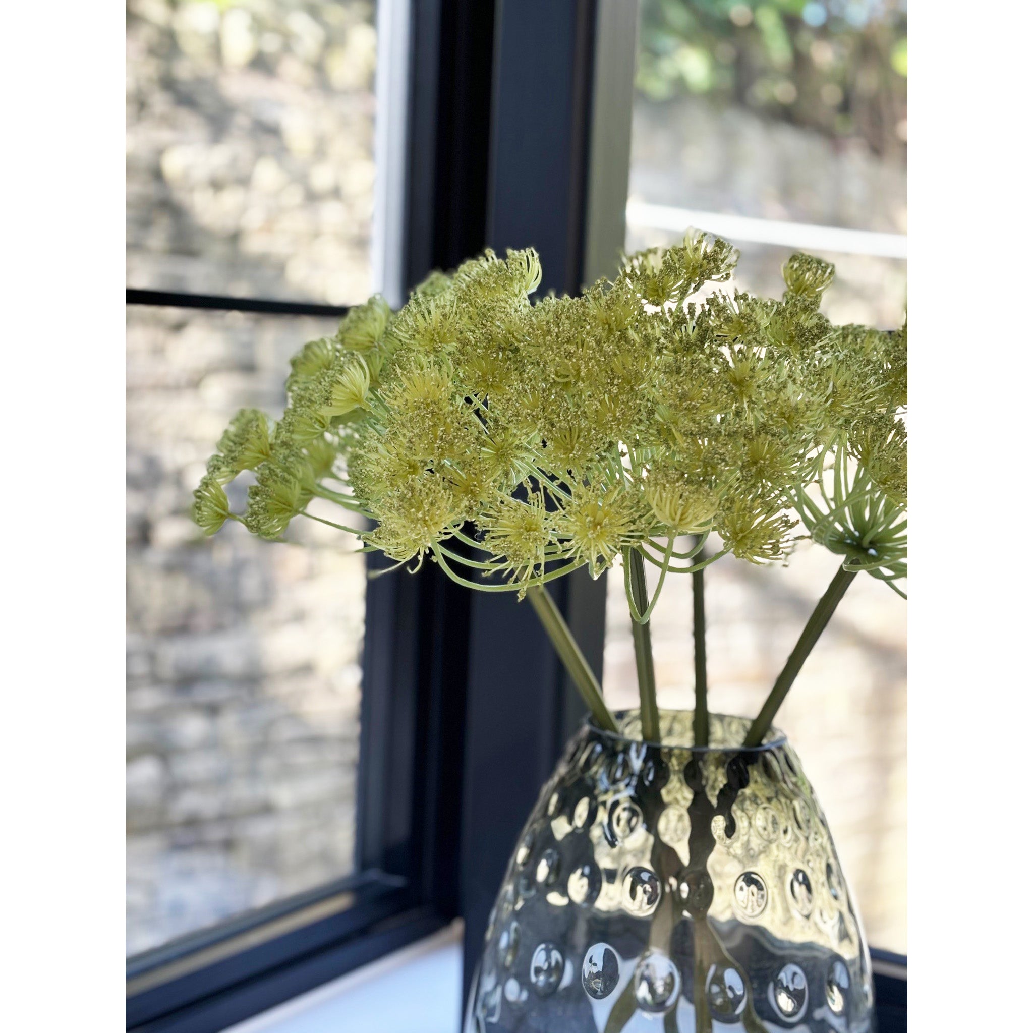 Green Queen Anne Lace Stem - Pack of 6